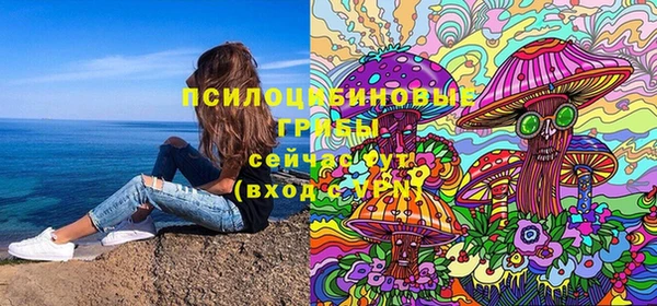 spice Михайловск