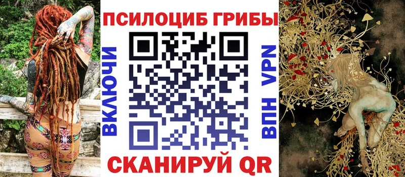 Псилоцибиновые грибы GOLDEN TEACHER  Купить  Андреаполь 